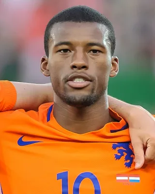 G. Wijnaldum