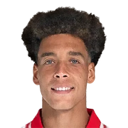 A. Witsel