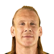 Domagoj Vida