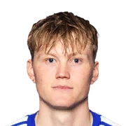Halldor Stenevik