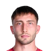 Dominik Meisel