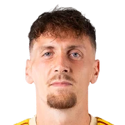 Milan Robin