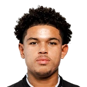 Shola Shoretire
