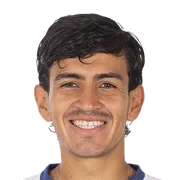 Nicolás Palavecino