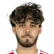 Lucas Copado