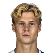 Theo Bergvall