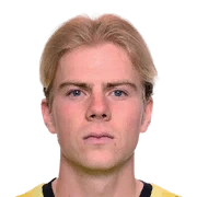 Johan Meyer