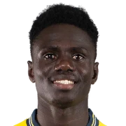 Cheikh Fall