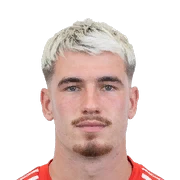 Nicolò Radaelli