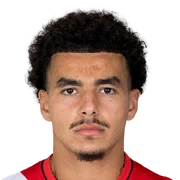 Rafik El Arguioui