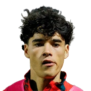 Afonso Assis