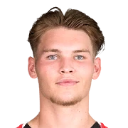 Joël van den Berg