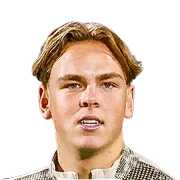 Robin van Duiven