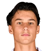 Dominik Papic