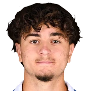 Denis Sahin