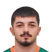 Şahin Dik